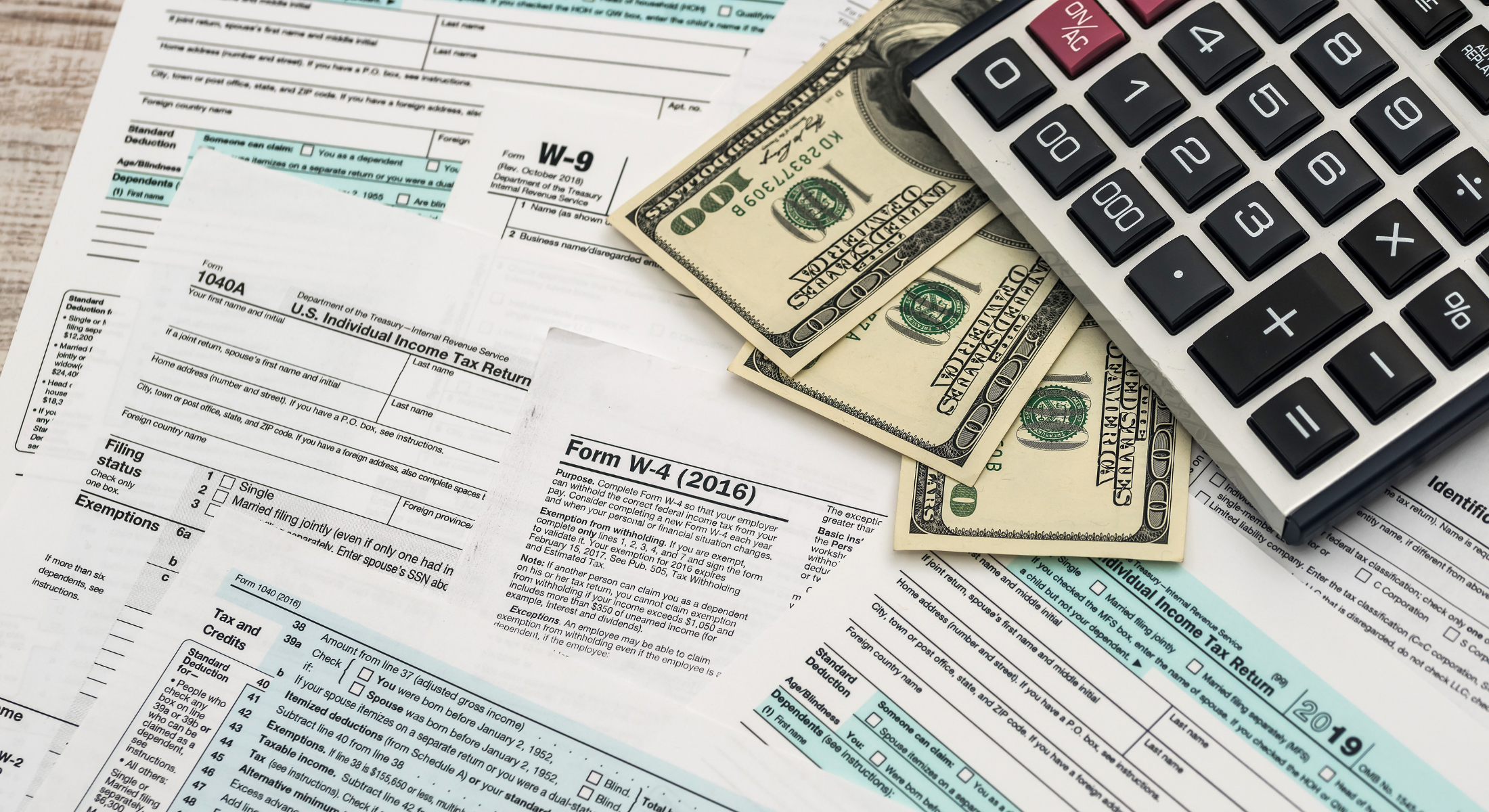 Government Rebates and Tax Credits