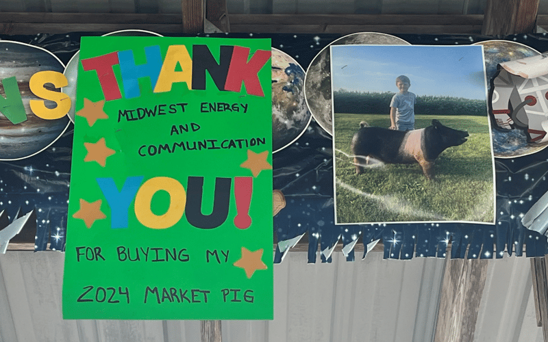 Why We Buy 4-H Animals