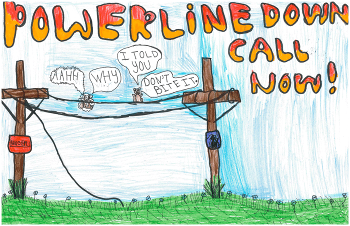 Billboard by Serenity G., Blissfield