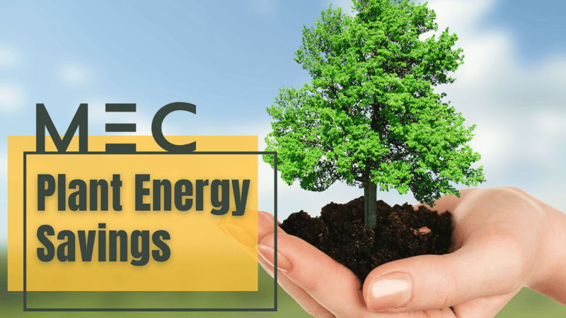 Plant Energy Savings
