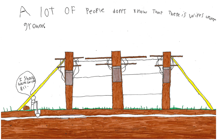 Poster by Jax A., White Pigeon