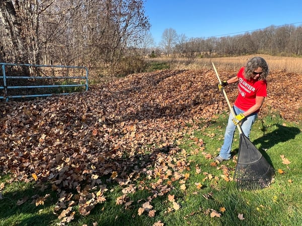 rake