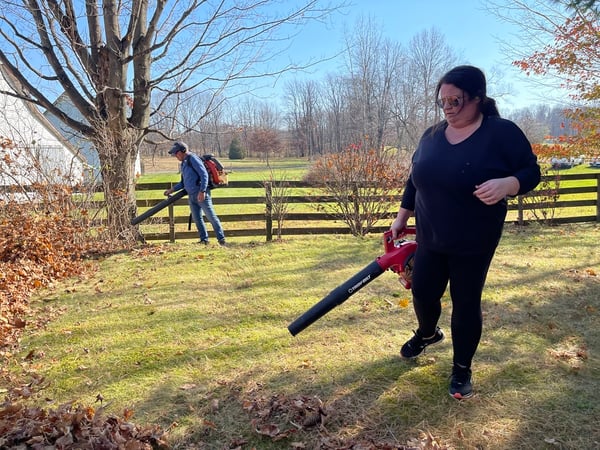 rake