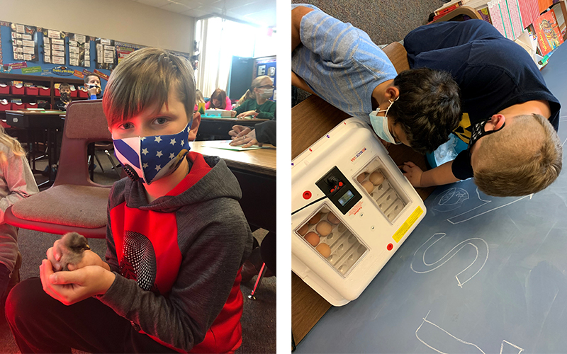 Bringing Education to Life