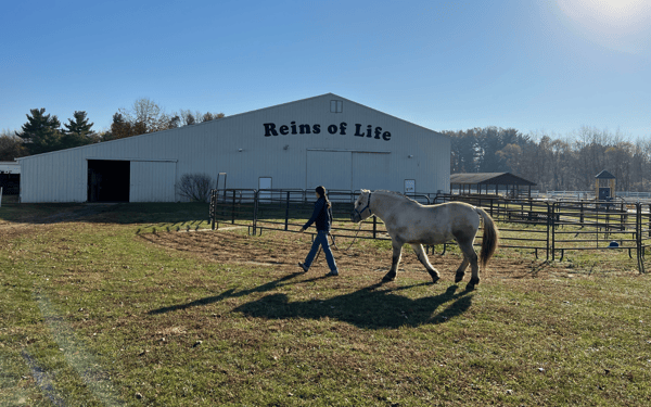 reins outside