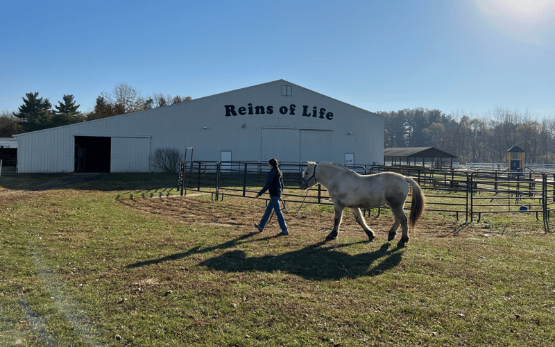 Building Vibrant Communities: Reins of Life