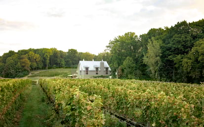 Cheers! Raise Your Glass to South Michigan