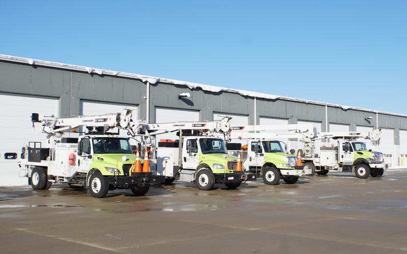 We're Going to a Rodeo