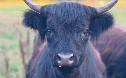 Fall Fun on the Farm