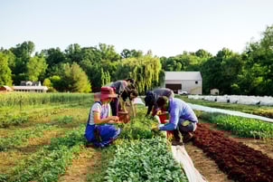 Granor Farm