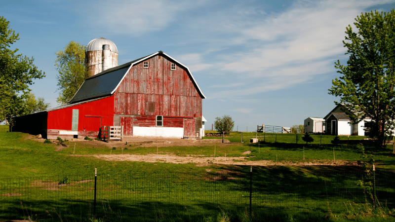 Red Barn