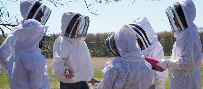beekeeper project funded