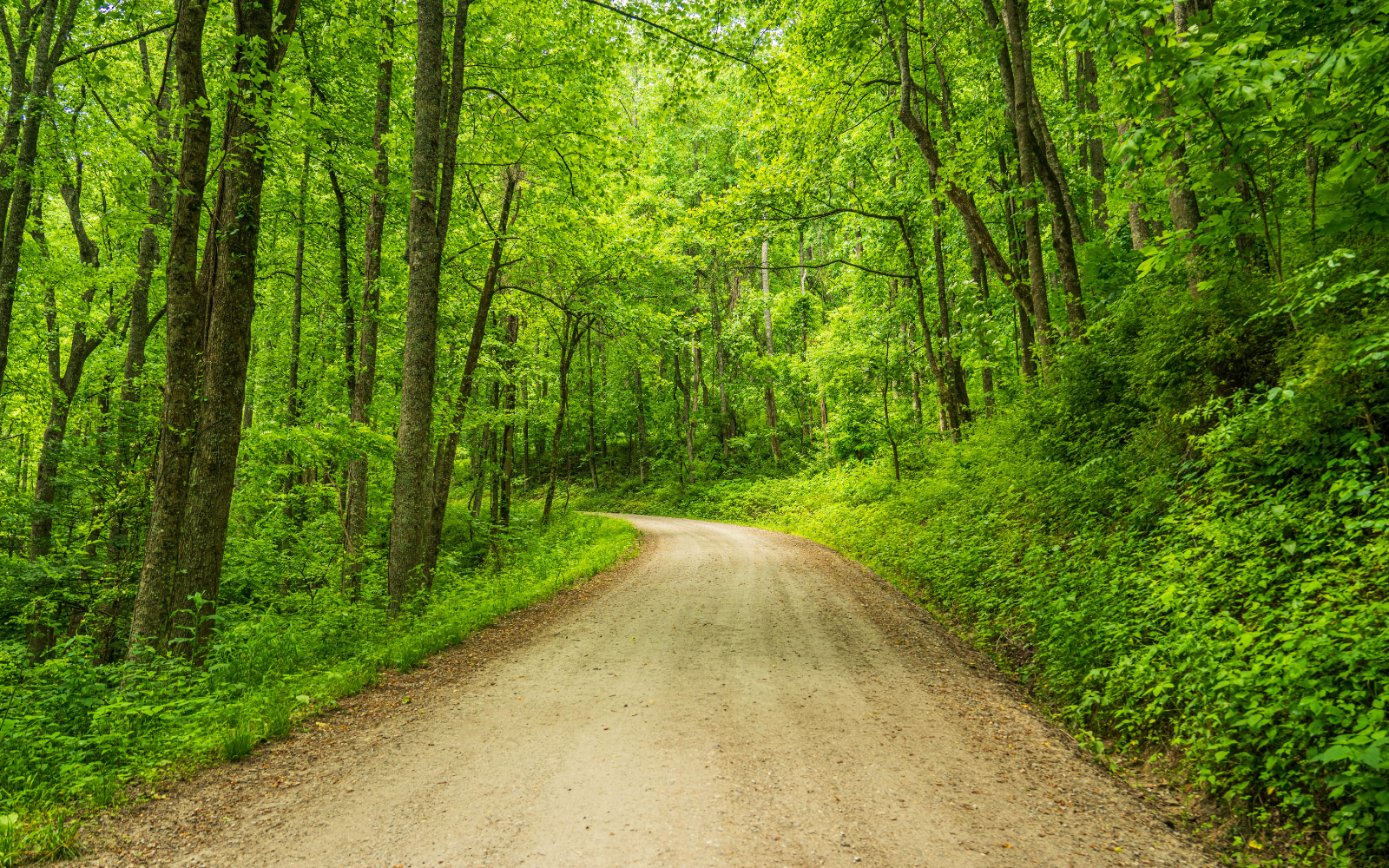 Dirt Road Driver's Training thumbnail