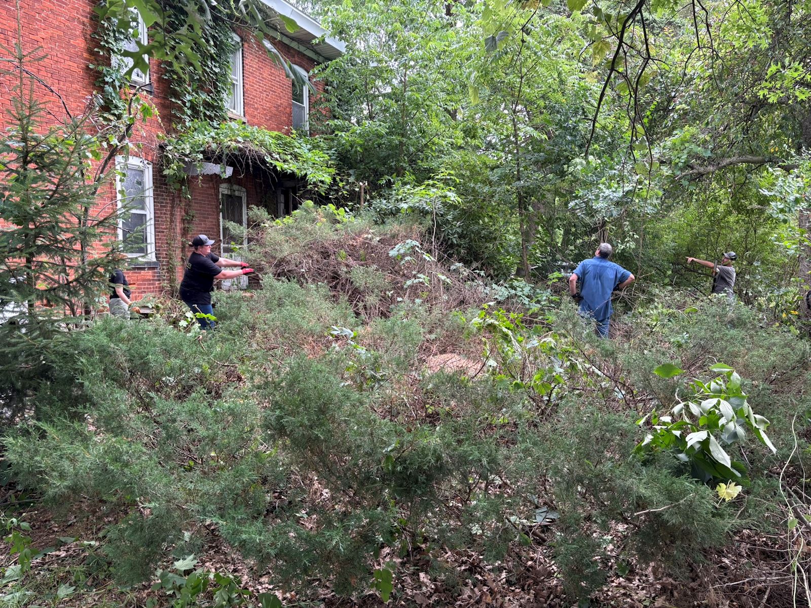 landscaping 1