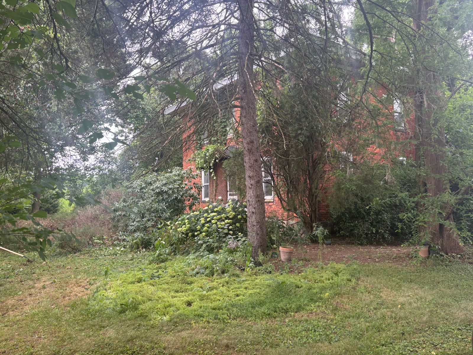landscaping 6