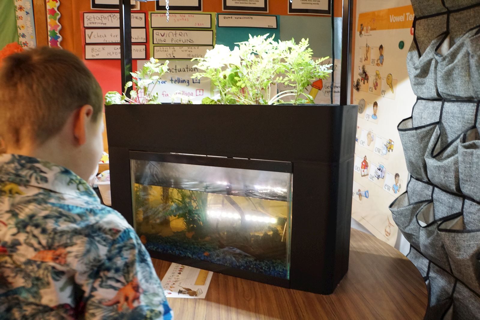 aquaponics system