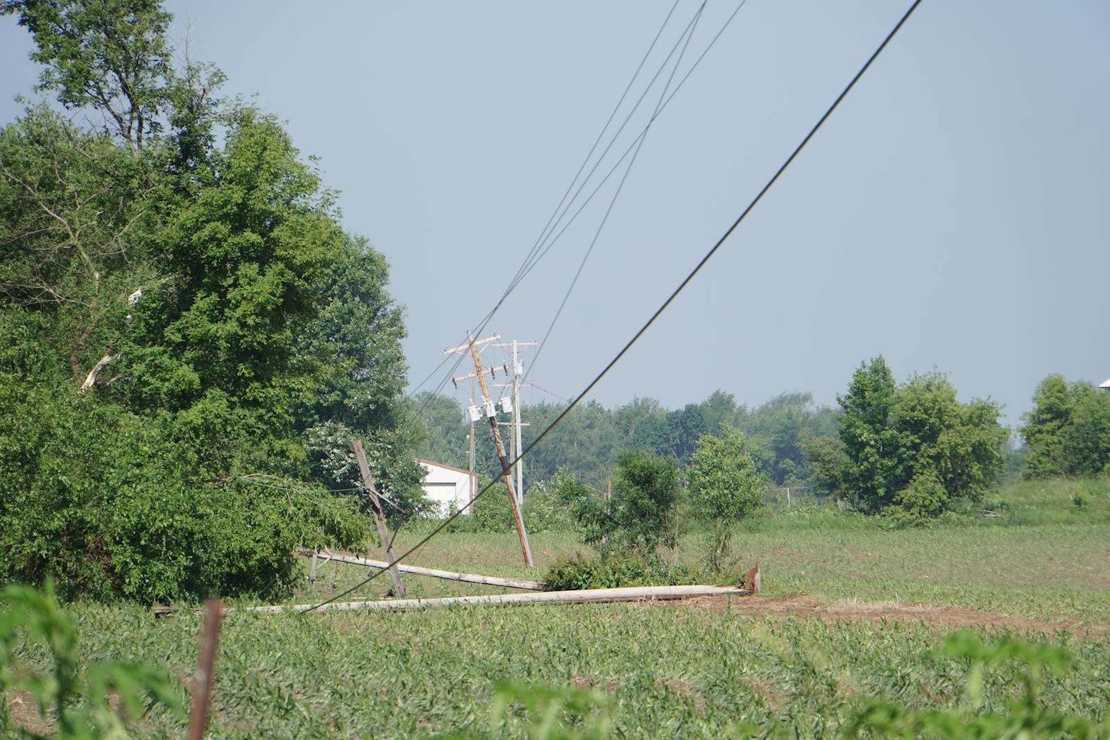 broken poles