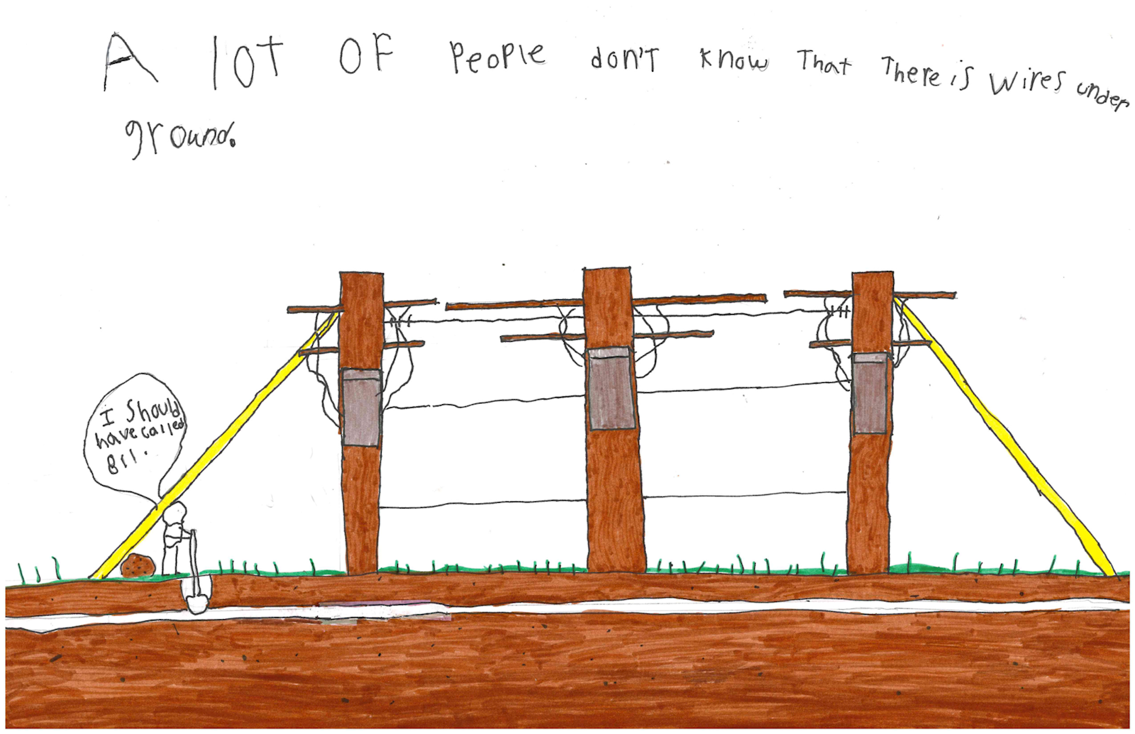 Poster by Jax A., White Pigeon