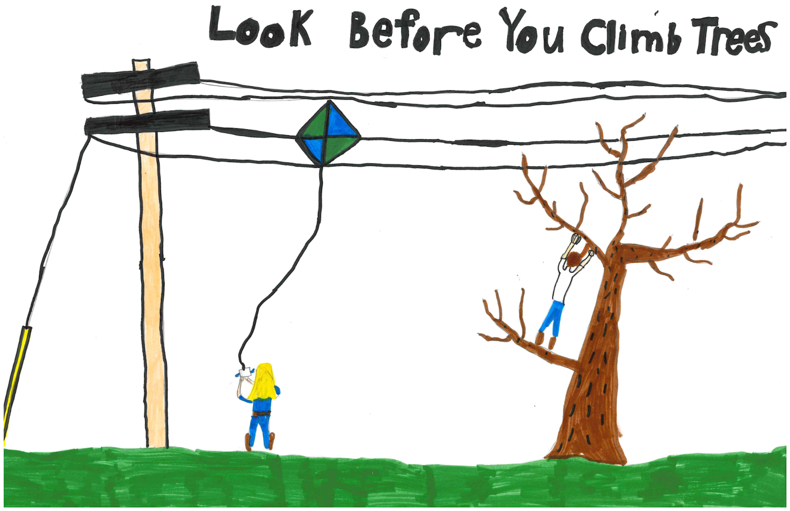Poster by Walter S., White Pigeon