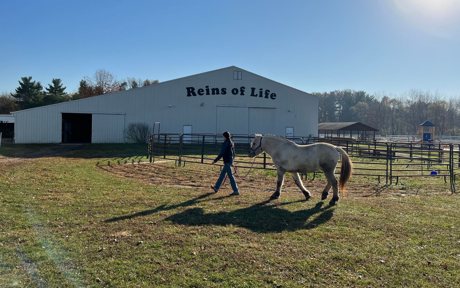 Building Vibrant Communities: Reins of Life thumbnail