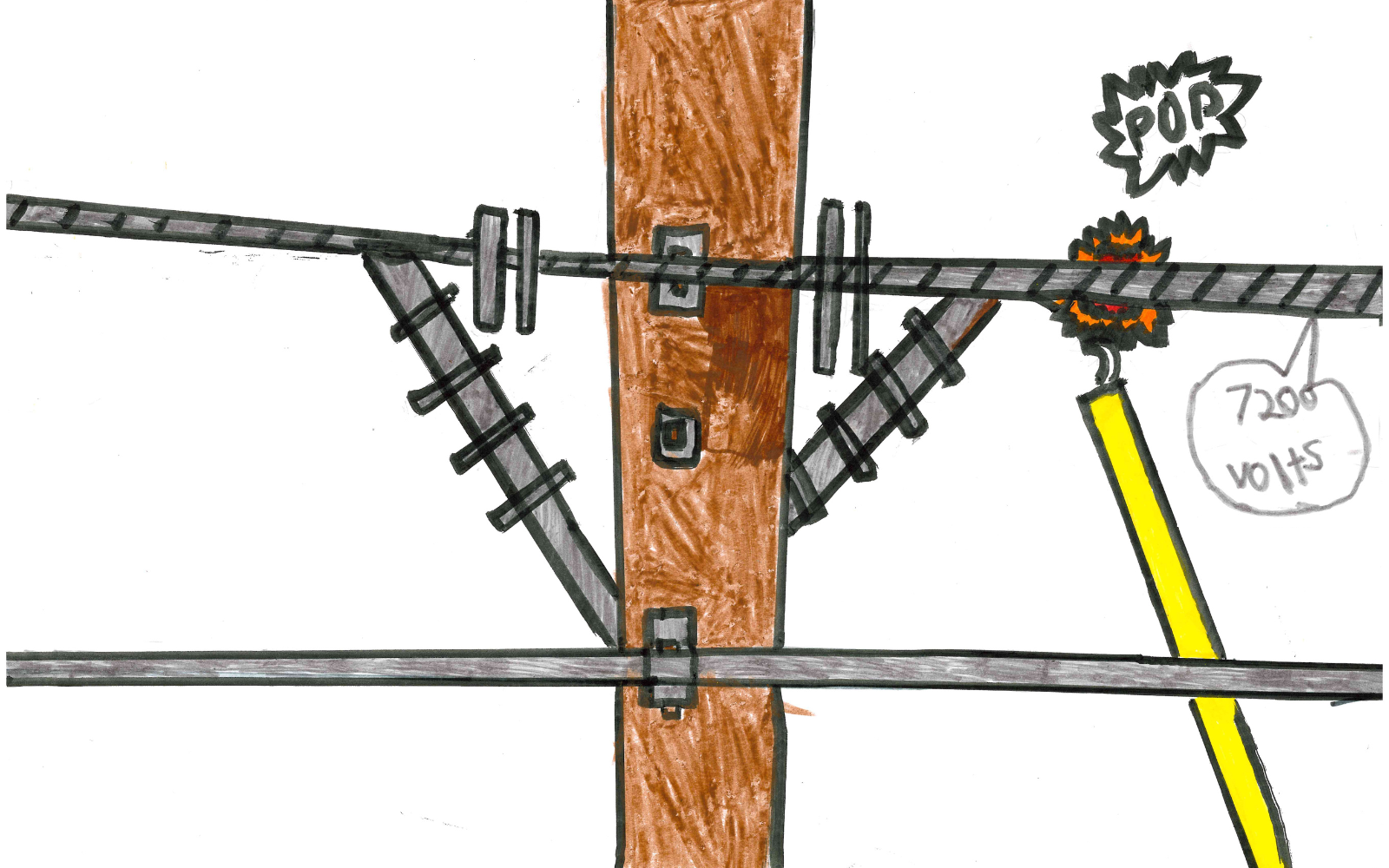 2025 Electric Safety Contest Winners thumbnail