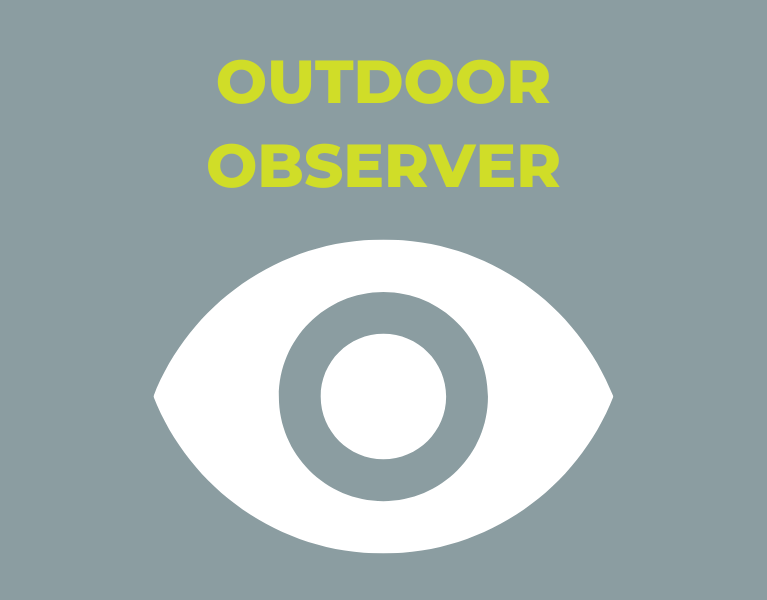 observer