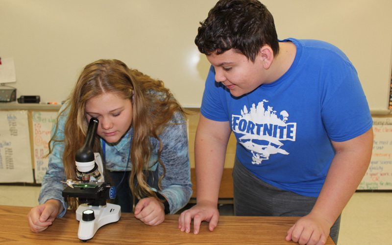Strengthening Schools Grants