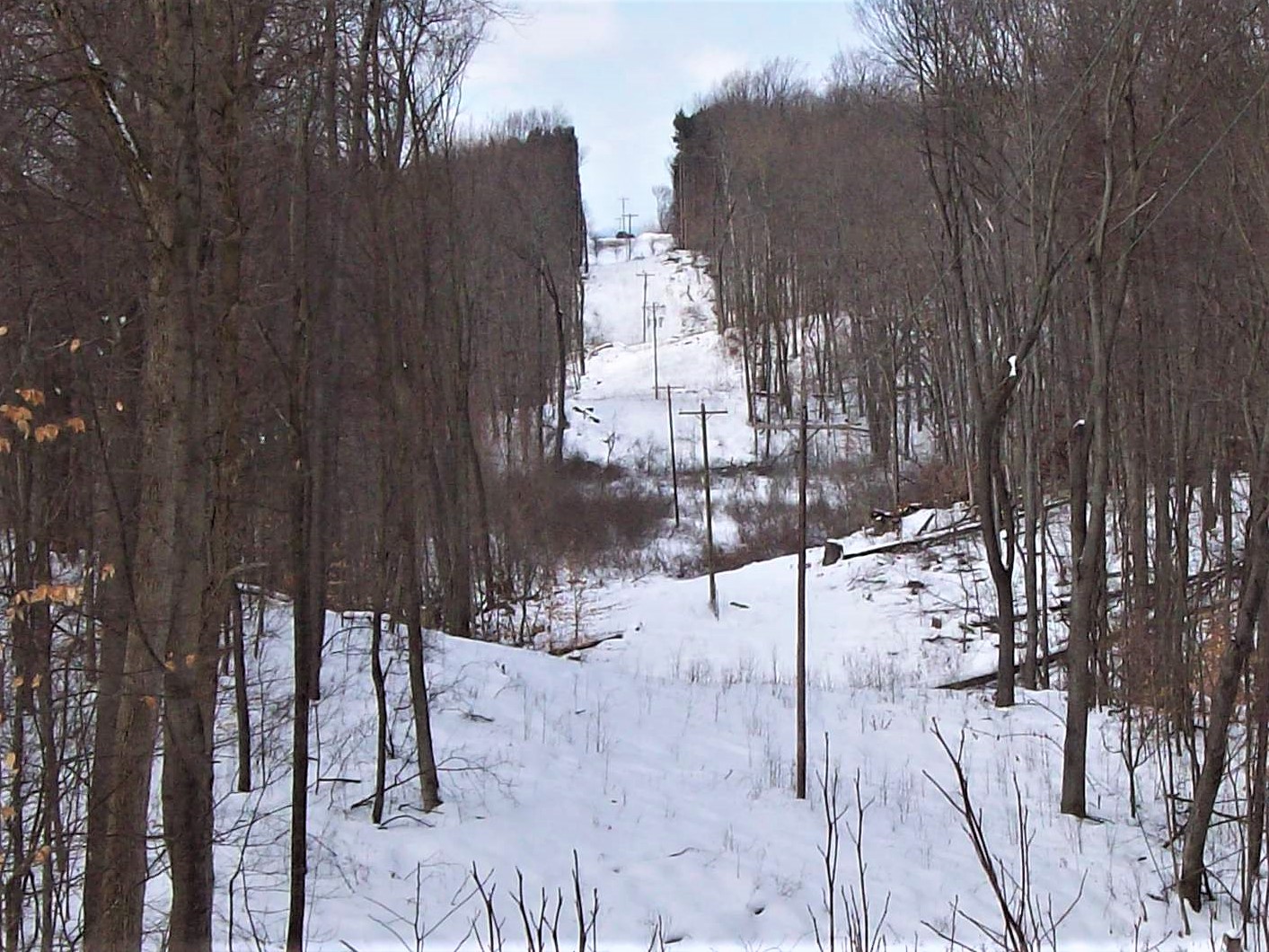 Line clearance reveals a cleared right of way